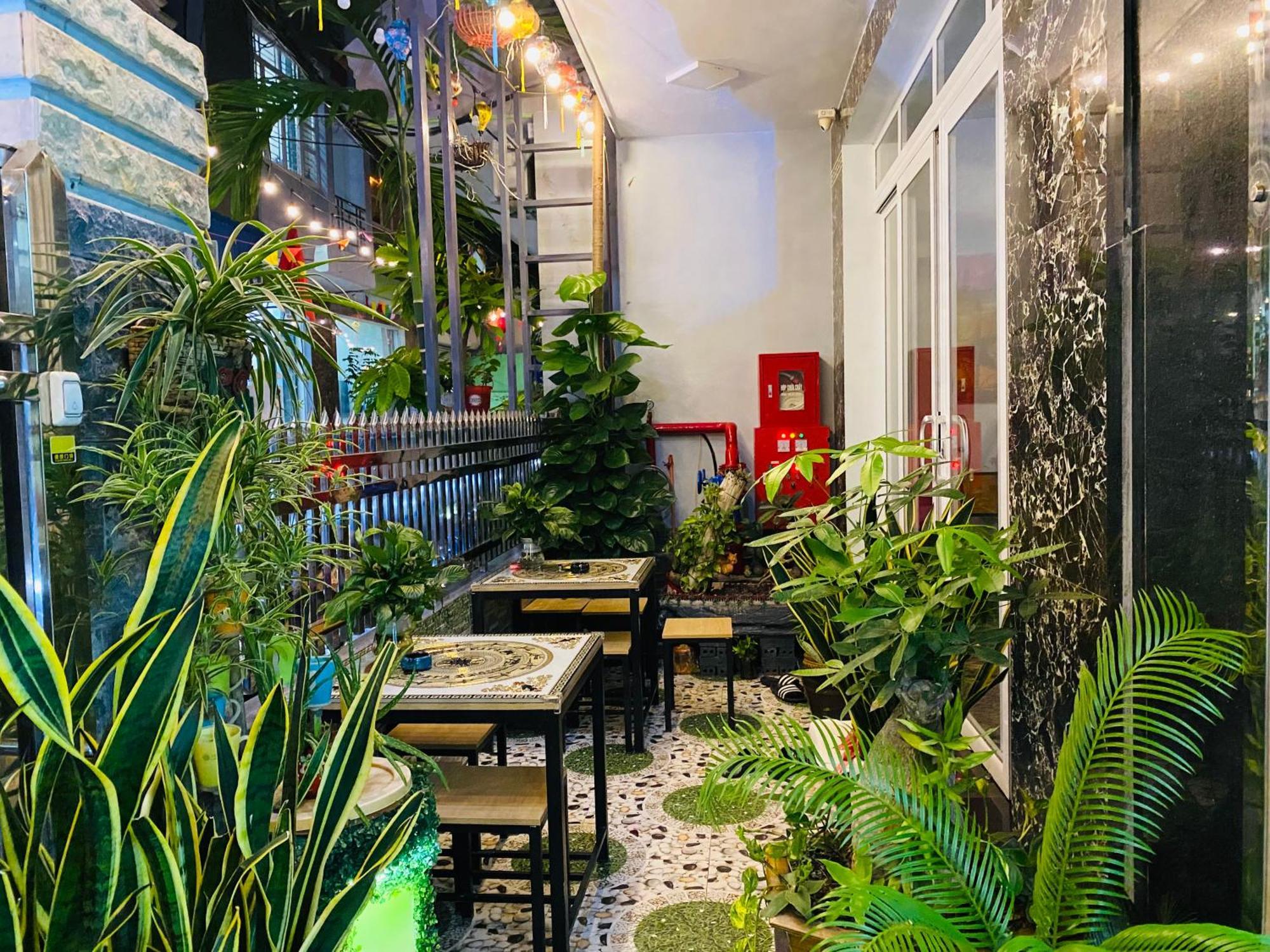 Cat Ba Central Homestay Dong Khe Sau Exteriör bild